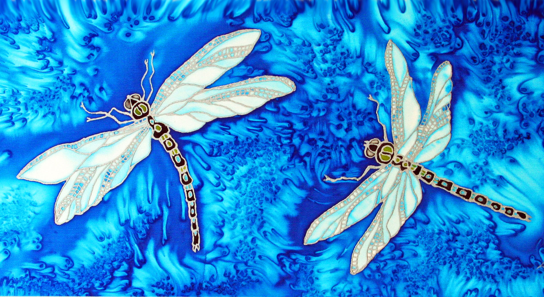 Dragonfly Duo